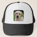 Zoek naar golden retriever petten Puppy