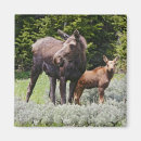 Zoek naar wyoming magneten Wild