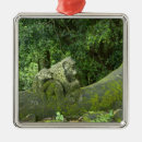 Zoek naar groei ornamenten Natuur