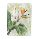 Zoek naar witte vogel magneten Bladeren