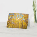 Zoek naar aspen kaarten Bos