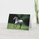 Zoek naar werking kaarten Paard
