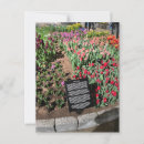 Zoek naar tulpen briefkaarten Lente