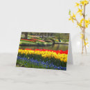 Zoek naar keukenhof kaarten Nederland