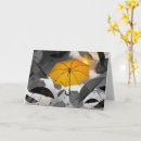 Zoek naar spots kaarten Voor iedereen