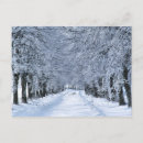 Zoek naar winter briefkaarten Vorst