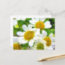 Zoek naar flowers briefkaarten Moeder