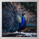 Zoek naar mooie posters Groen