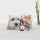 Zoek naar hond wensen kaarten Vader