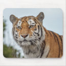 Zoek naar siberische kat muismatten Tijger