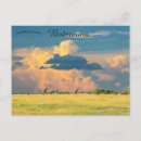 Zoek naar giraffen briefkaarten Wolken