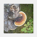 Zoek naar paddestoel magneten Herfst