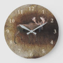 Zoek naar bulle klokken Dieren