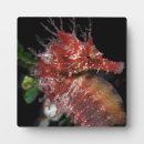 Zoek naar mensen fotoplaat Nautisch