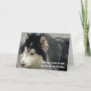 Zoek naar humoristische honden kaarten Voor iedereen