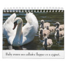 Zoek naar baby dieren kalenders Schattig