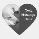 Zoek naar valentijnsdag fotografie Elk persoon