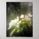 Zoek naar appelbloesem posters Bomen