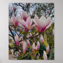 Zoek naar roze magnolia posters Voor iedereen