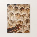 Zoek naar bijen puzzels Insect