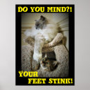 Zoek naar funny cat kunst Grappige katten