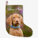 Zoek naar vizsla kerstsokken Hond
