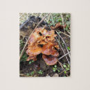 Zoek naar boomstam puzzels Bos