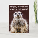 Zoek naar meerkat kaarten Foto