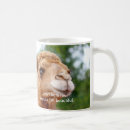 Zoek naar camel mokken Kamelen