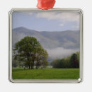 Zoek naar mist ornamenten Park