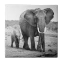 Zoek naar olifant tegels Portret