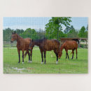 Zoek naar bruine paarden puzzels Elk persoon