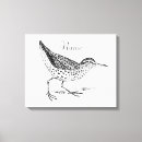 Zoek naar shorebird posters Oceaan