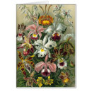Zoek naar ernst haeckel kaarten Orchideeën