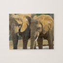 Zoek naar bedreigde dieren puzzels Safari