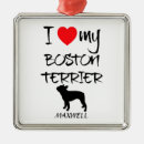 Zoek naar boston terriër ornamenten Honden