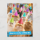 Zoek naar avanti briefkaarten Viering
