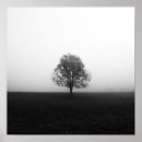 Zoek naar eenzame boom kunst Natuur