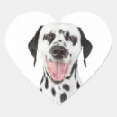 Zoek naar jachthond etiketten Puppy