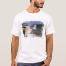 Zoek naar iguacu posters Niemand