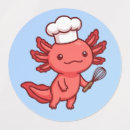 Zoek naar grappige piraten stickers Kawaii