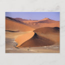 Zoek naar zand duin briefkaarten Schilderachtig