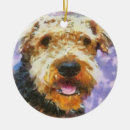 Zoek naar airedale ornamenten Hond