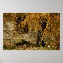 Zoek naar boom van het leven posters Geel