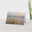 Zoek naar grassen kaarten Natuur