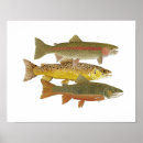 Zoek naar forel posters Vlieg