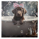 Zoek naar retriever tegels Pup