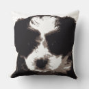 Zoek naar maltese kussens Puppy