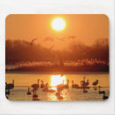 Zoek naar zwemmen muismatten Meer