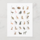Zoek naar animals briefkaarten Alfabet